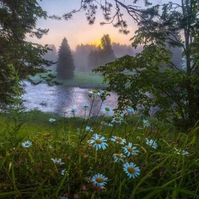 爱游戏下载截图